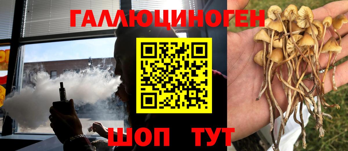 Свободный  Псилоцибиновые грибы ЛСД  купить   Вход с VPN 